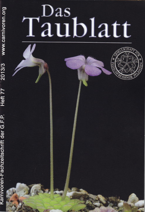 Das Taublatt Cover Heft 77