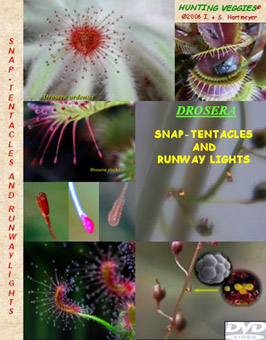 Cover DVD Snap-Tentacles & Runway Lights