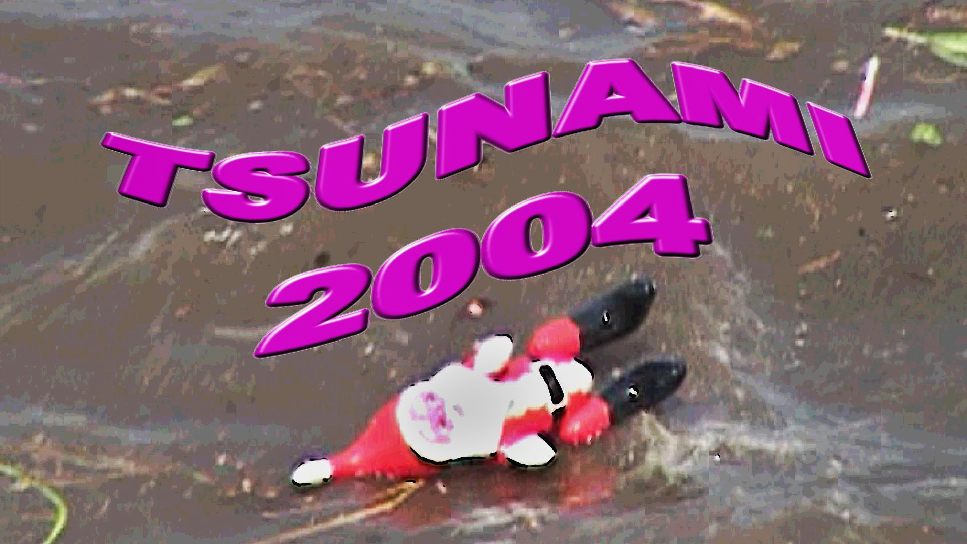 Tsunami 2004 Thumb