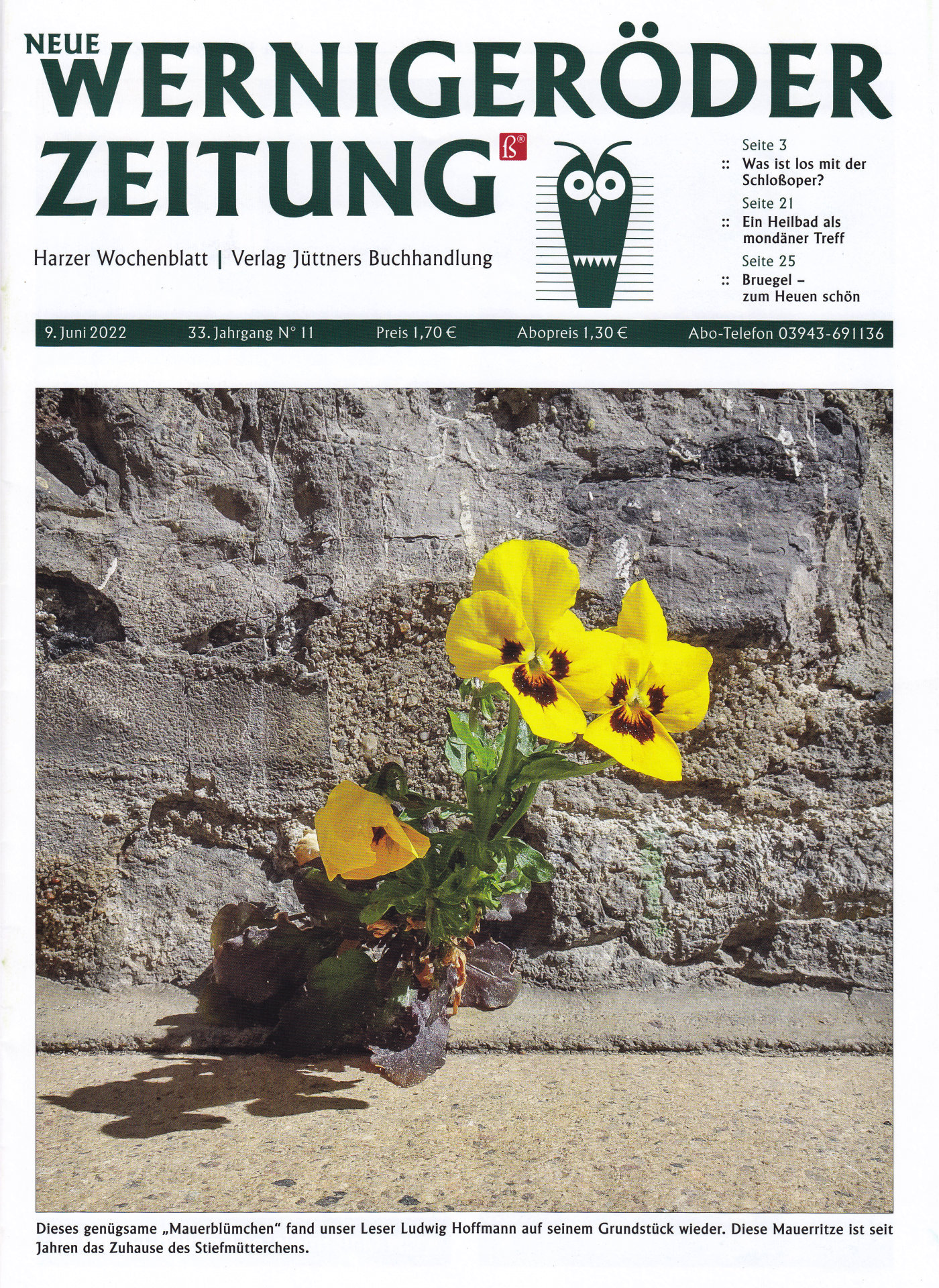 CPN cover #11 2022