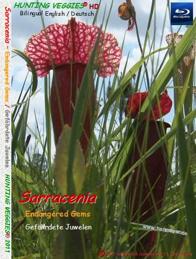 Blu-ray Cover Sarracenia