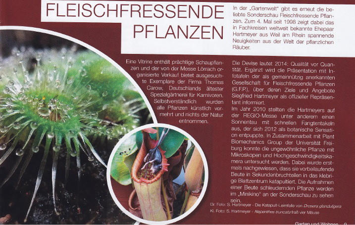 Messe Magazin 2014 / Sonderschau FP