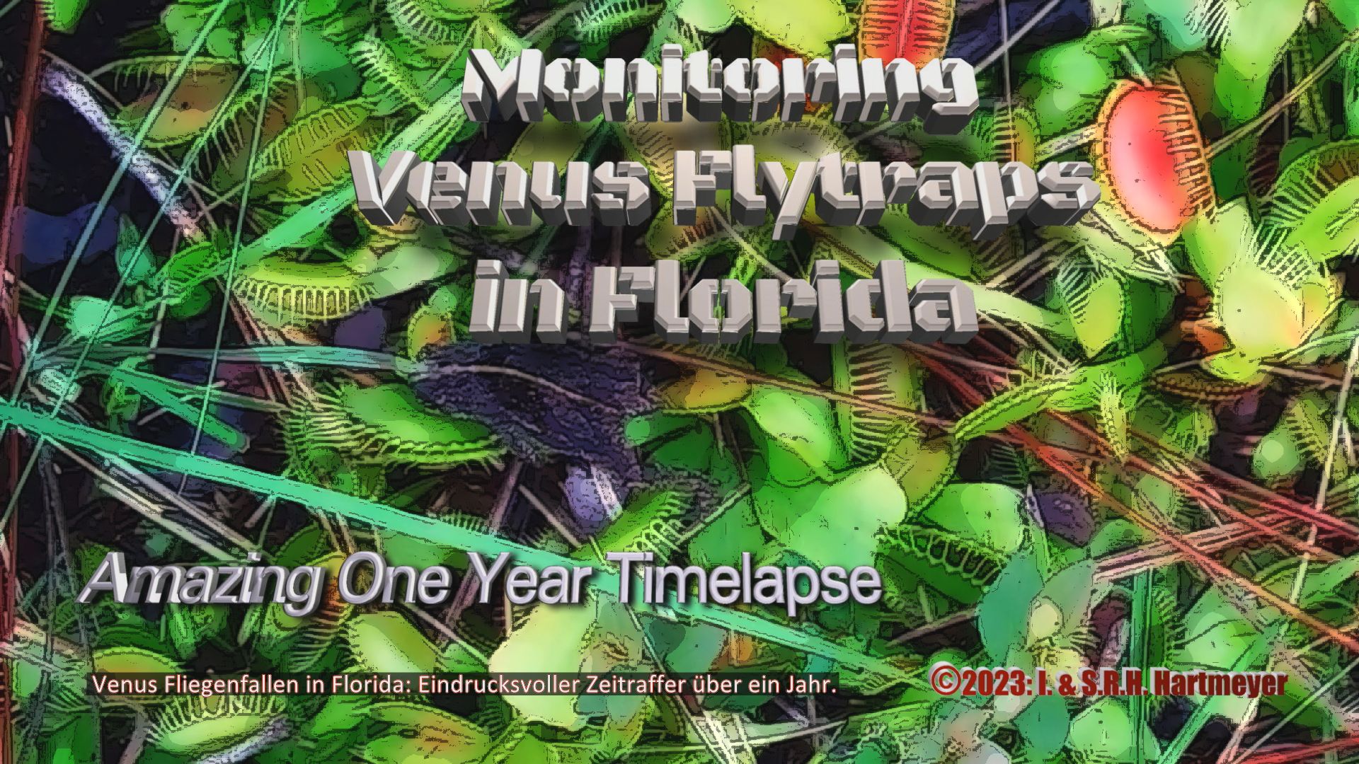 Dionaea Timelapse_Thumb
