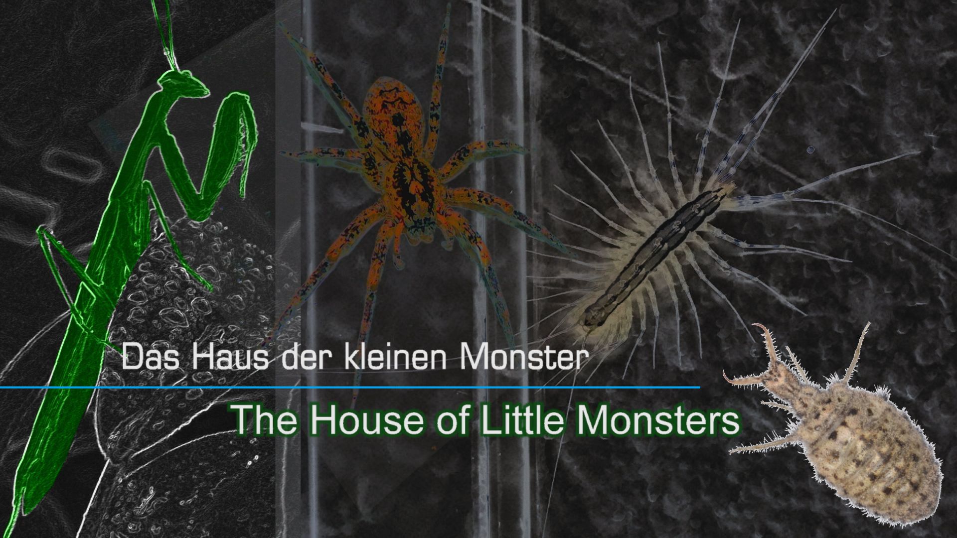 Thumb Haus der kleinen Monster