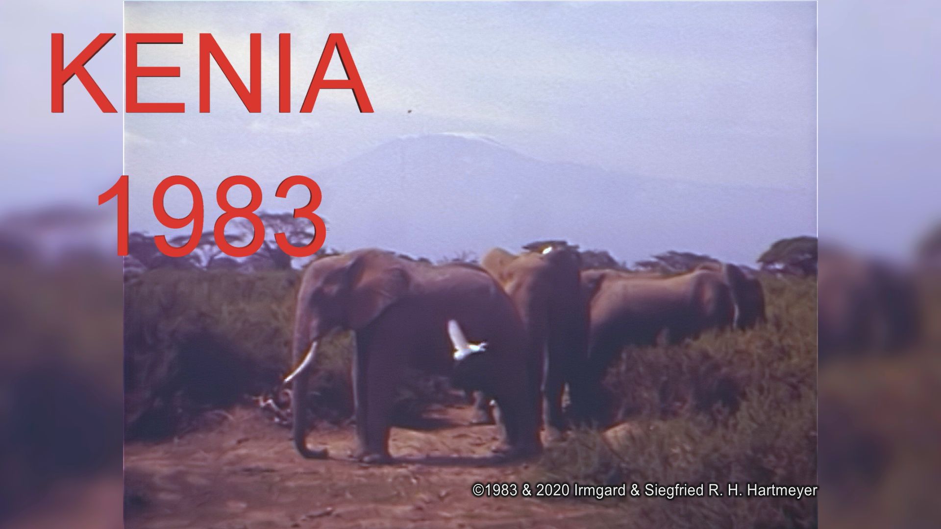 Kenia 1983_Thumb